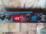 Roland JV-1010 (9,5"1HE 64 VOICE SYNTHESIZER MODULE "Session" onboard + EXPANDABLE) - Ronnenberg