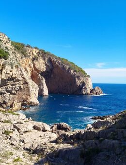 Mann mit Hund sucht nette Frau für Freundschaft - Witten