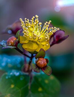 Anti Depressive Entspannungs Massage - Marktheidenfeld