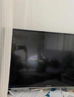 Fernseher bis 15.8 - Jena