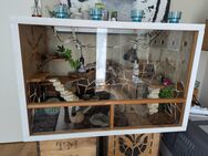 Terrarium - Hanau (Brüder-Grimm-Stadt) Mittelbuchen