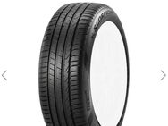 Pirelli Scorpion 255/45-19 seal 100v - Ronsberg