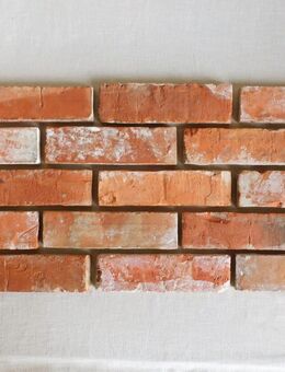 Handform Ziegel Riemchen Vintage rote Klinker Verblender Wand Reichsformat Feldbrand echte alte Back - Halle (Saale)