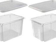 keeeper Stapelbox emil (Set, 2 St), 30 L, mit Deckel, hochwertiger Kunststoff
