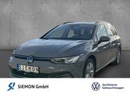 VW Golf Variant, 1.0 Golf 8 eTSI Life, Jahr 2024 - Lengerich (Nordrhein-Westfalen)