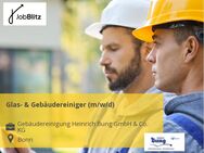 Glas- & Gebäudereiniger (m/w/d) - Bonn