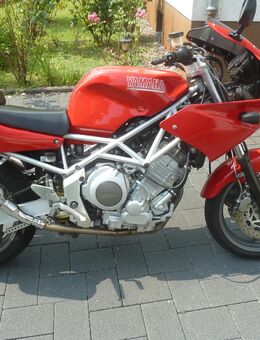 Yamaha TRX 850, die bessere Ducati? - Hainburg