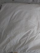 Daunen kissen Federfüllung in 33378