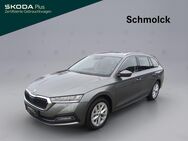 Skoda Octavia, 2.0 TSI Combi Style, Jahr 2024 - Emmendingen