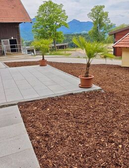 Reitanlage in schöner Aussichtslage zu den Chiemgauer Alpen - Siegsdorf