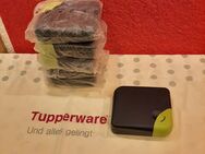 Tupperware CD DVD Aufbewahrungs Dosen - Büdingen