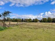 HORN IMMOBILIEN ++ 5,6 ha bei Löcknitz, als Wildtierfarm, zur Pferdehaltung oder für Alpakas - Löcknitz