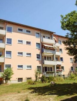 Qualität muss nicht teuer sein - Amberg