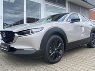 Mazda CX-30, Homura 150PS Qi el, Jahr 2022 - Waren (Müritz)