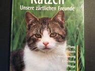 Katzen, Unsere zärtlichen Freunde - Antje Breuer - Essen