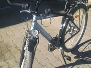Hochwertiges Mountainbike / Citybike - Unna