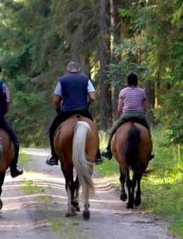 Reitbeteiligung gesucht 66802 - Überherrn