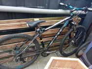 Cube Fahrrad - Nettetal