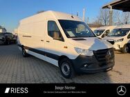 Mercedes Sprinter, 315 KA Maxi MBUX °, Jahr 2022 - Ravensburg