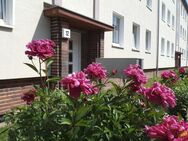 2-Raum Wohnung / 41 m² / Stadtfeld West - Magdeburg