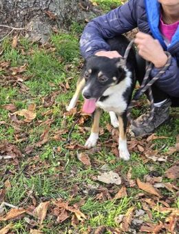 SELINA ist ein kleiner Sonnenschein ♥️ - München