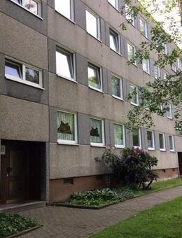 So macht wohnen Spaß: individuelle 3-Zimmer-Wohnung in guter Wohnlage mit einem kleinen Mietergarten - Kassel