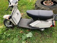 Yamaha Herkules Roller 80ccm Lizensbau CV80 (14A) - Owingen