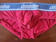 Aussiebum Original Herren Push up Funktion - Hannover Mitte