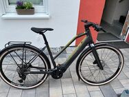 Flyer Upstreet SL 3.10 Gr M ! 4199€ - Duderstadt