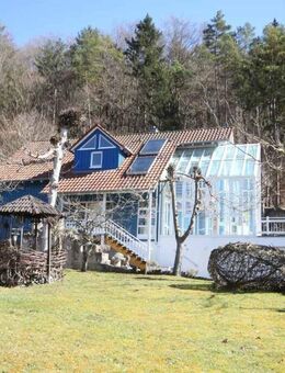 ...dort wo man zur Lage noch Paradies sagen kann und man auch Füchse und Rehe am Waldrand sieht - Haigerloch