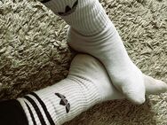 getragene ADIDAS Socken Gr.43 👄 - Wurzen