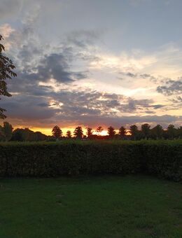 Suche einen Weihnachtsengel. - Delbrück