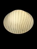 Zebralampe Peill & Putzler aus gestreiftem Opalglas UGR-1355685 70er in 65462