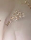 Braut Stola creme NEU mit Applikationen Emmerling Organza runde Form 129,- Neupreis in 64678