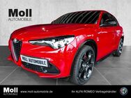 Alfa Romeo Stelvio, Competizione Q4, Jahr 2023 - Köln