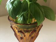 Vase Glas Bernstein Glas Art Deco - Berlin Lichtenberg
