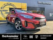 Kia XCeed, PlugIn Vision - Komfort-Paket, Jahr 2022 - Steinfurt