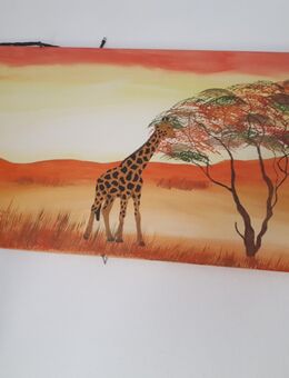 Bild Motiv Afrika - Neunkirchen (Saarland)