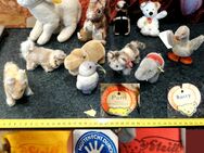 11 Plüschtiere, Steiff, Perri, Raccy, Eulan, Schaf, Nilpferd uvm. - Berlin