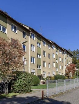 3-Zimmer-Wohnung in Bad Bergzabern sucht neue Mieter! - Bad Bergzabern