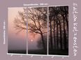 Roll-Up Display 3er-Set "Bäume vor Sonnenuntergang" - 300 x 200 cm - Bestatterbedarf, Dekoration: in 26382