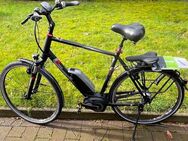 Herren E-Bike Pegasus Premio E8 F (Freilauf) Rahmen 61 cm - Bottrop Zentrum