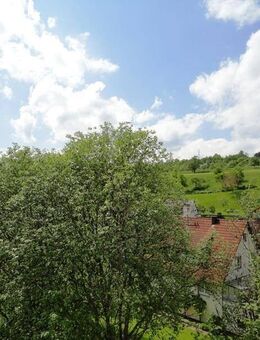 ABSOLUT RUHIGE UND SONNIGE LAGE! - Wildberg (Baden-Württemberg)