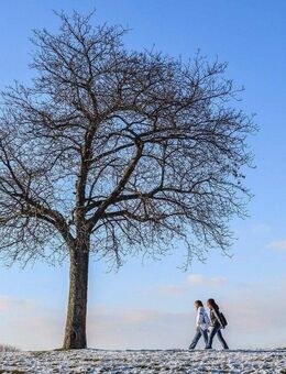 Bien-Zenker - Ihr individuell geplantes Traumhaus in Seevetal nahe der Elbe - Seevetal