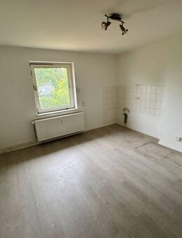 Helle 1-Zimmerwohnung mit großer Küche in SZ-Gebhardshagen - Salzgitter