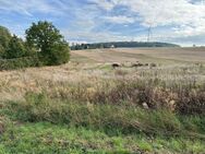 +++Baugrundstück in Stadtrandlage mit Herrlichen Blick!+++ - Reichenbach (Vogtland)