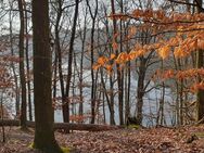 63jähriger Dom sucht Frau die sich Outdoor als Analhure benutzen lassen will! - Berlin