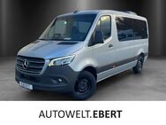 Mercedes Sprinter, 317 Colorglas SiHeiz, Jahr 2024 - Hirschberg (Bergstraße)