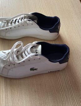 Sneaker von Lacoste. Größe 41 - Remscheid