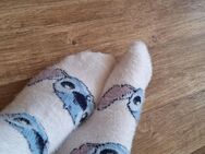 Getragene Socken in Größe 39-42 - Berlin